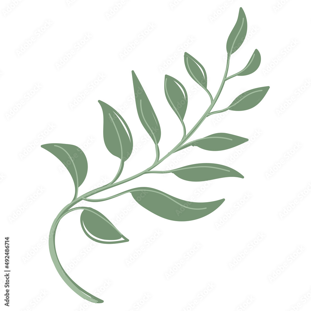 Fototapeta premium Leaf vector. Collection of leaves