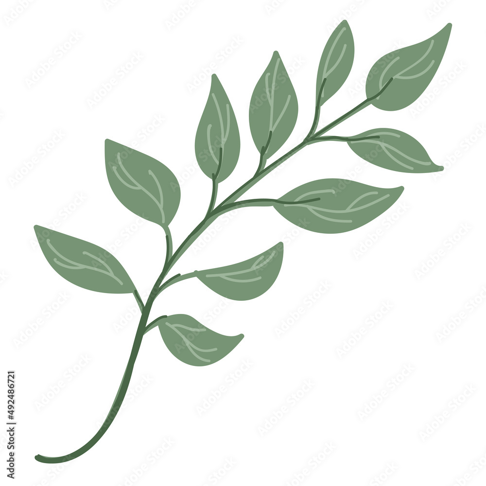 Leaf vector. Collection of leaves