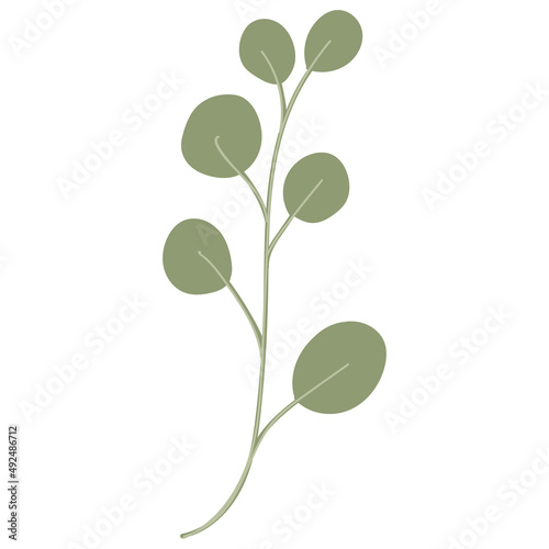 Leaf vector. Collection of leaves