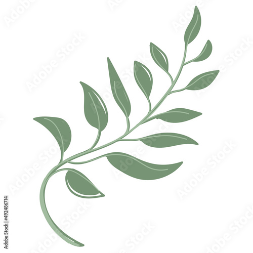 Leaf vector. Collection of leaves