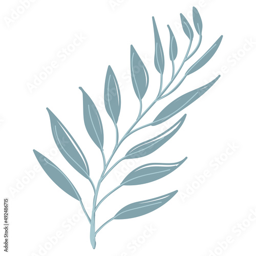 Leaf vector. Collection of leaves