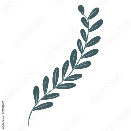 Leaf vector. Collection of leaves