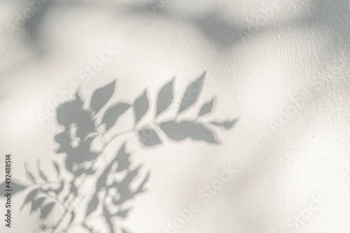 Leaf shadow and light on wall blur background. Nature tropical leaves tree branch plant shade sunlight on white wall texture shadow overlay effect