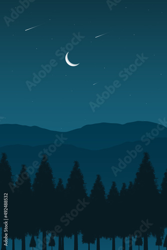 Photoshop 2D Moon Night  Illustration (ID: 492488532)