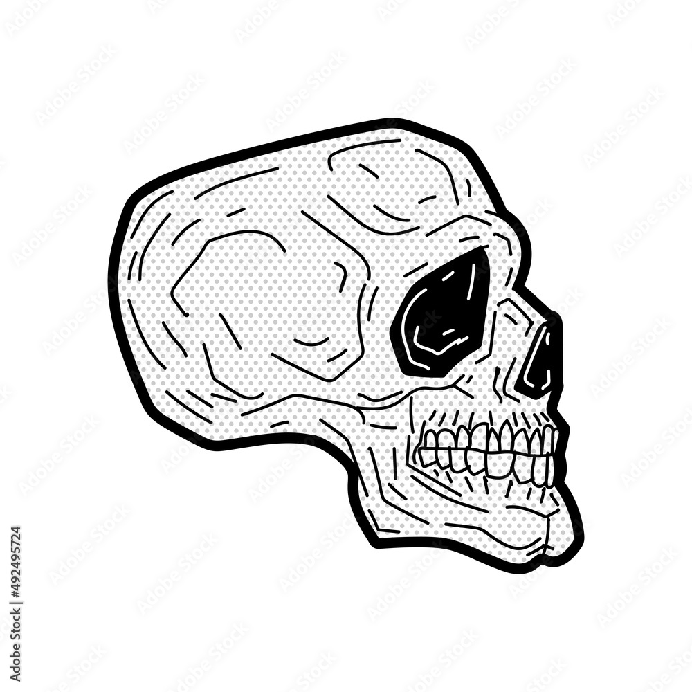 Skull pop art. Skeleton head isolated. Vector illustration Skull pop art. Skeleton head isolated. Vector illustration