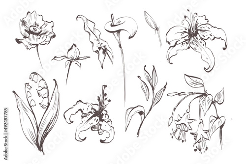 Floral black and white sketch collection. Flower rose  leaves. Wedding concept. Set flowers for invite. Vector arrangements for greeting card or invitation design