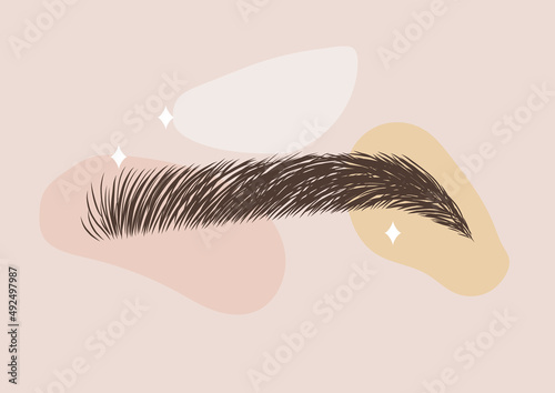 Brow master logo. Elegant female eyebrows shape. Permanent make-up and microblading. Linear vector Illustration in trendy minimalist style.