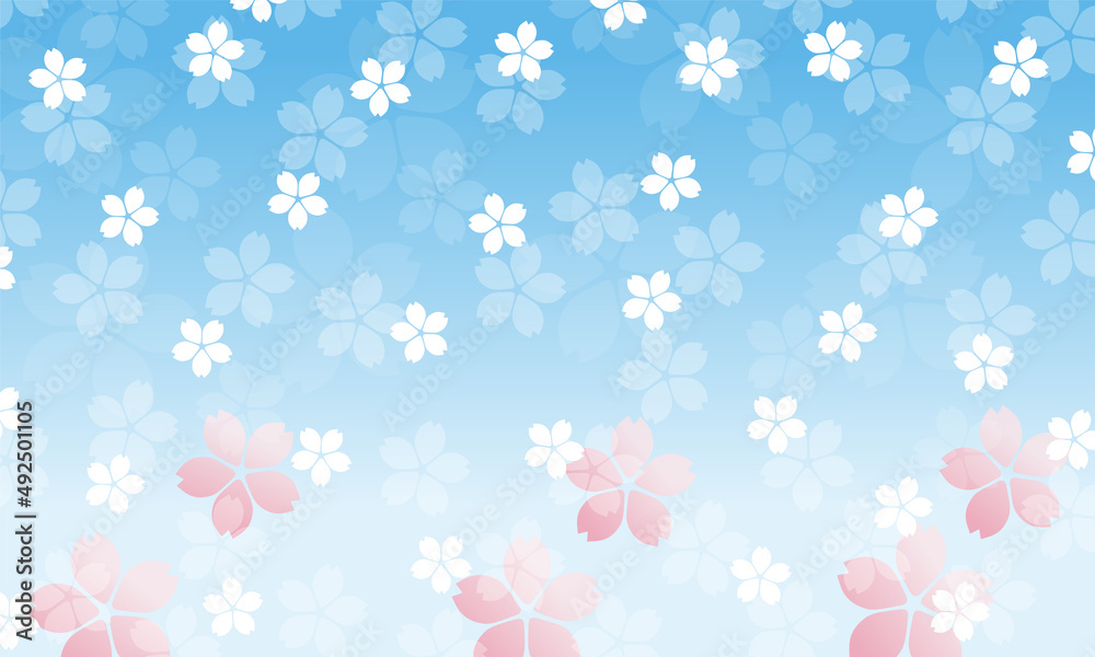 春のイメージの桜のイラスト背景　桜吹雪　花満開バックグラウンド