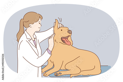 Female vet doctor examine dog in clinic or hospital. Caring veterinary nurse checkup big puppy at appointment. Domestic animal or pet examination. Healthcare. Vector illustration. 