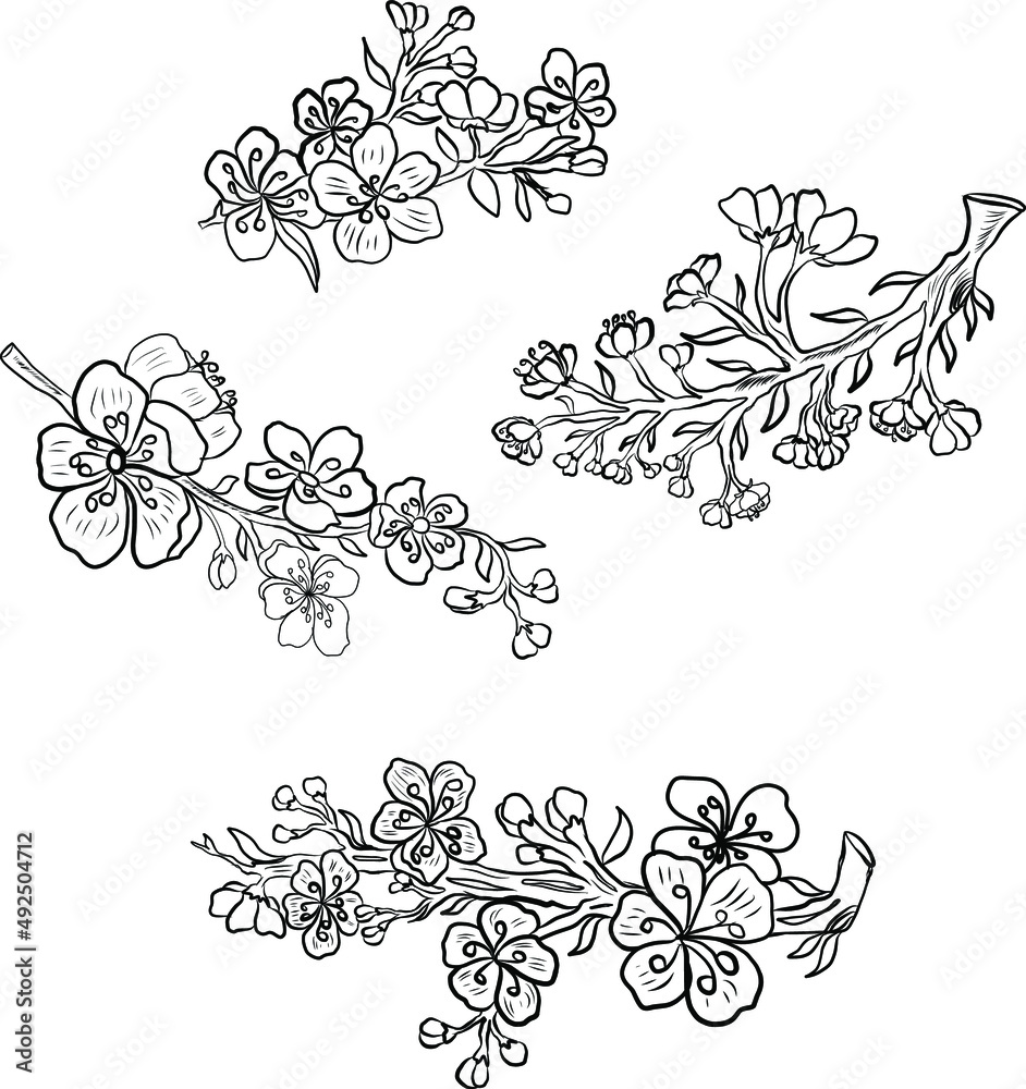 Branch of Cherry blossom on white.Vector illustration Sakura Flower,Nice Peach blossom isolated vector.Japanese floral.Branch of sakura flower vector for printing on background.