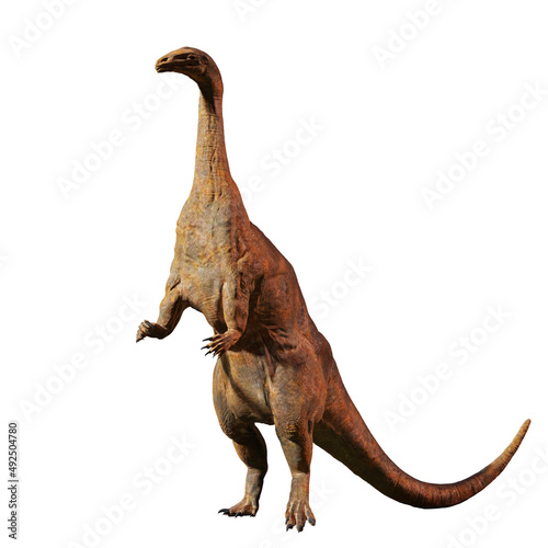 Plateosaurus, dinosaur that lived around 214 to 204 million years ago, isolated on white background © dottedyeti