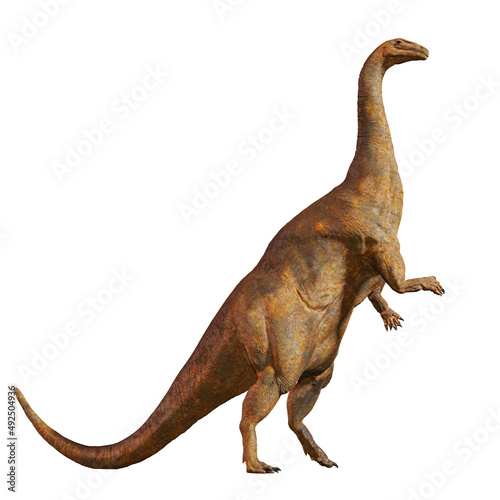 Fototapeta Naklejka Na Ścianę i Meble -  Plateosaurus, dinosaur from the Late Triassic period isolated on white background 