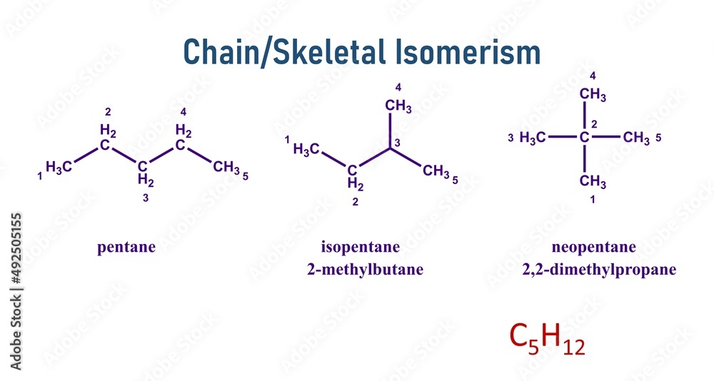 Chain Isomerism is also known as skeletal isomerism.
The components of these isomers display differently branched structures. chain isomers differ in the branching of carbon. propene and cyclopropane