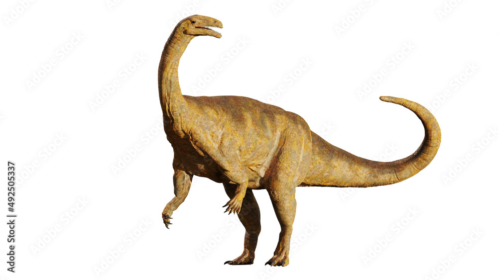Plateosaurus, dinosaur from the Late Triassic period isolated on white background