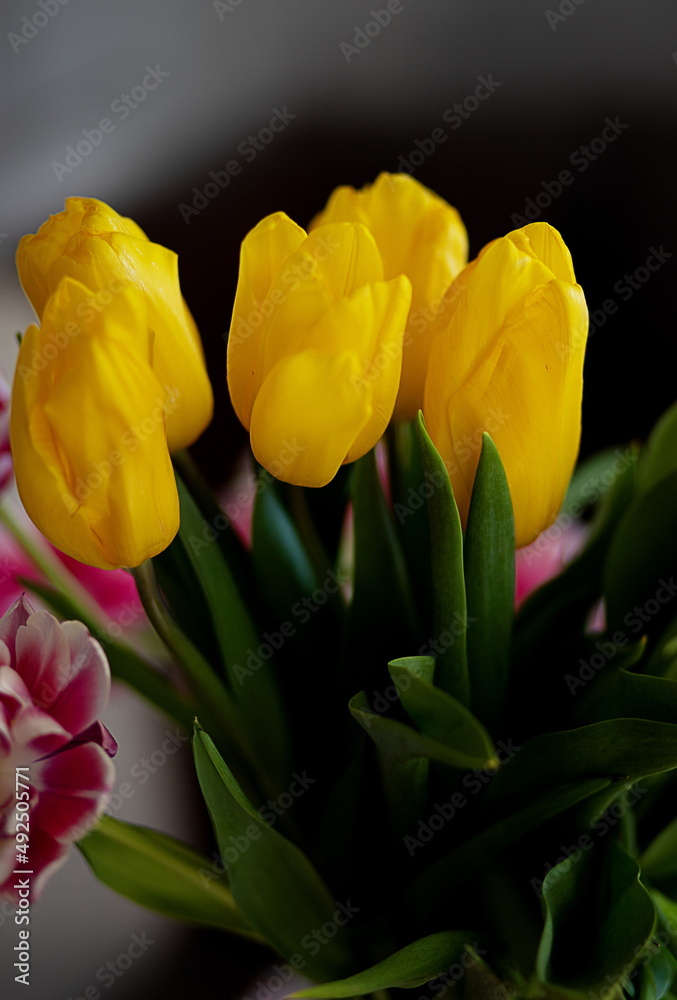 beautiful tulips and roses in a vase. spring flowers beautiful tulips and roses in a vase. spring flowers