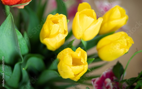 beautiful tulips and roses in a vase. spring flowers