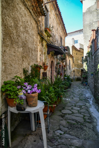 A narrow street among the old stone houses of Rocca Cilento, town in Salerno province, Italy.