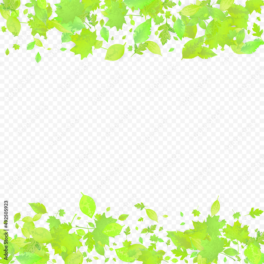 Leaves Falling Spring Flying Foliage Green Leaf Leaves Falling Spring Flying Foliage Green Leaf