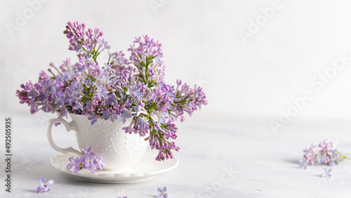 Romantic spring background with branches of blooming lilac in a tea cup on a white background. Tender floral greeting card, poster, invitation, background. Copy space. Floral shop