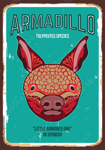 Armadillo face vector iilustration in retro vintage poster style, perfect for tshirt design and wall decor