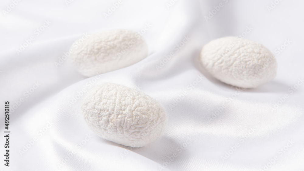 close up of the silkworm cocoon on white silk fabric.