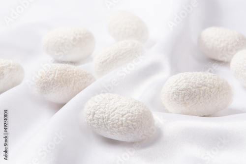 close up of the silkworm cocoon on white silk fabric. photo