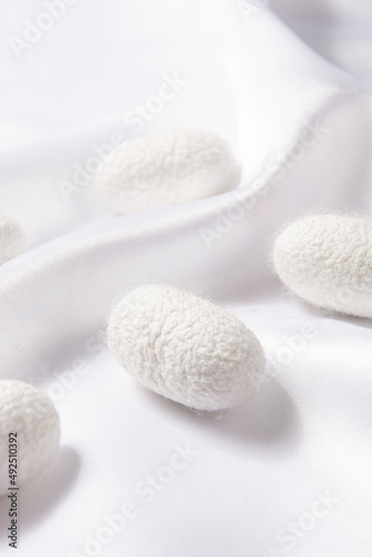 close up of the silkworm cocoon on white silk fabric.