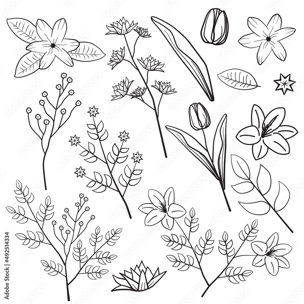 Fototapeta premium Dahlia Lily Rose Leaf Flower Floral Silhouette Outline Line Element