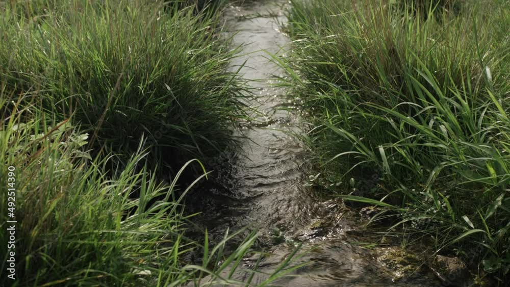 A pan up shot of a quiet, calm, trickling stream of water in the middle of a Kansas prairie field in the flints hills surrounded by green grass in the summer time. A pan up shot of a quiet, calm, trickling stream of water in the middle of a Kansas prairie field in the flints hills surrounded by green grass in the summer time.