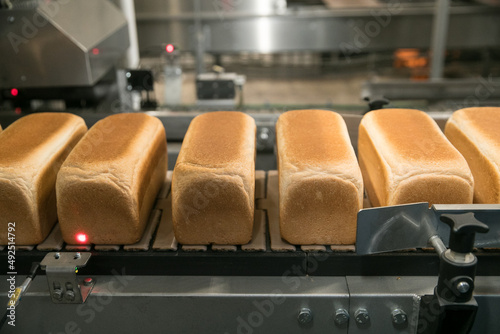 Loaves of bread in a bakery on an automated conveyor..Bakery products
