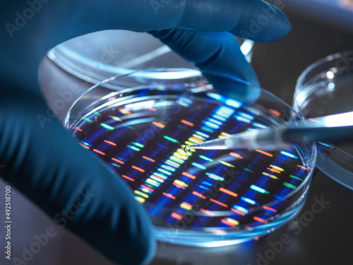 Scientist pipetting sample into tray for DNA testing in laboratory photo