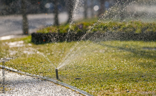 Automatic garden lawn sprinkler in action on a growing public garden during a spring beautiful day.