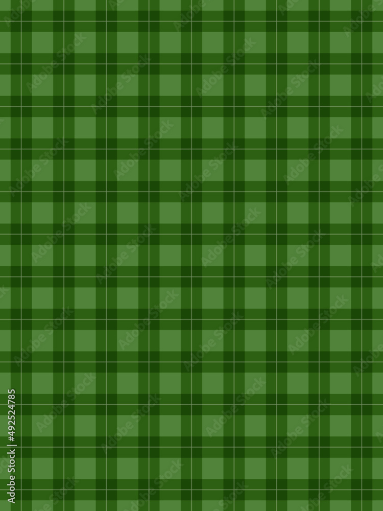 Fototapeta premium green plaid pattern