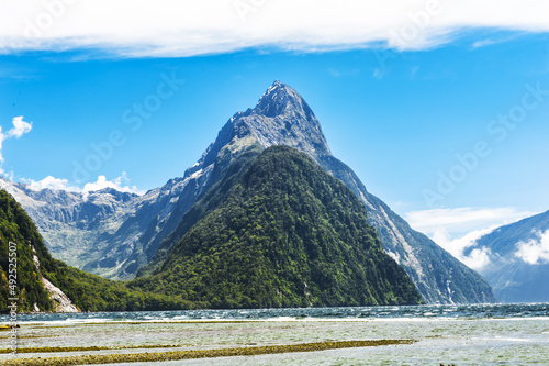 Low Tide in Milford Sound in New Zealand photo