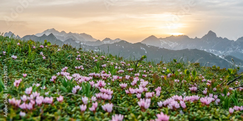 Frühling in den Bergen