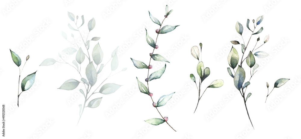 Watercolor greenery set of light green, turquoise, virid wild leaves, twigs and branches. Spring tender illustration. Watercolor greenery set of light green, turquoise, virid wild leaves, twigs and branches. Spring tender illustration.