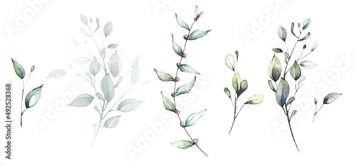 Watercolor greenery set of light green, turquoise, virid wild leaves, twigs and branches. Spring tender illustration.
