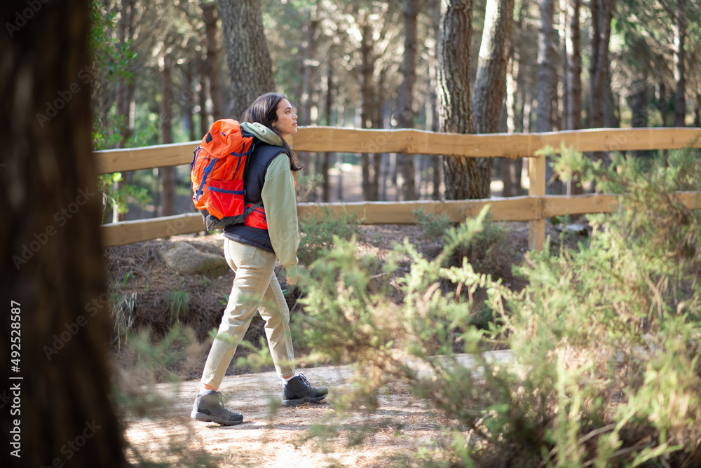 Side view of beautiful female hiker. Caucasian woman in casual clothes with dark hair and big backpack. Hobby, nature concept