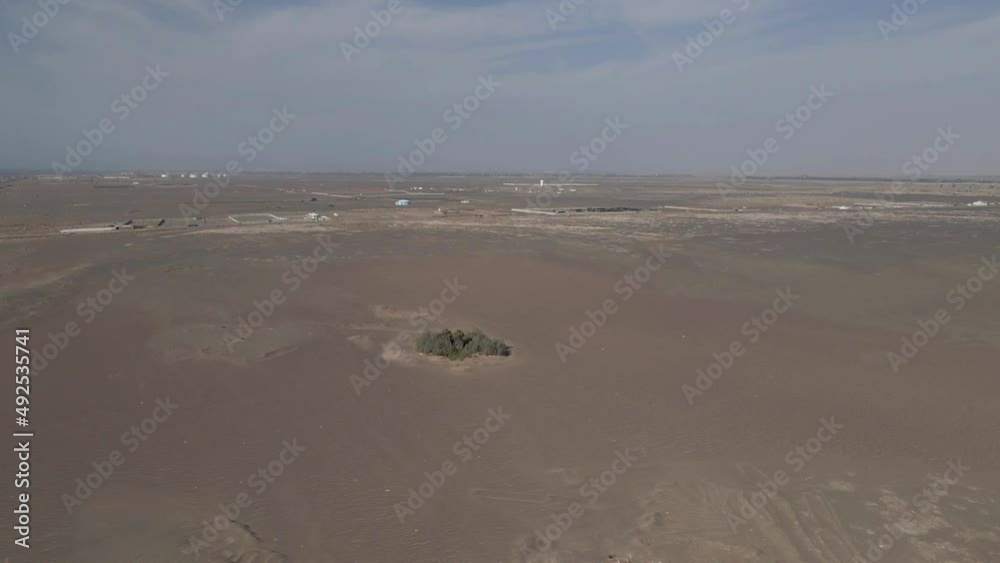 custom made wallpaper toronto digitalAerial: Tiny oasis of trees in endless expanse of chala desert in Peru