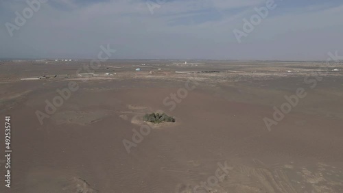 Wallpaper Mural Aerial: Tiny oasis of trees in endless expanse of chala desert in Peru Torontodigital.ca