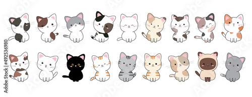 Photographie Set of cat on white background vector illustration