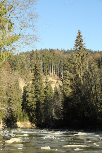 River in Carpathian mountains in sunny day