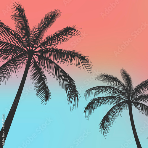 Fototapeta Naklejka Na Ścianę i Meble -  Silhouette Palm trees background