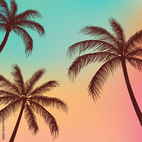 Silhouette Palm trees background