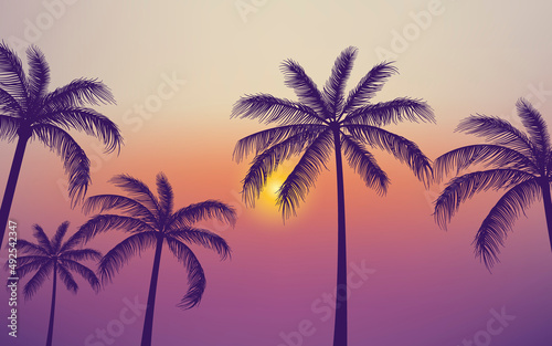 Silhouette Palm trees background © Fauzan