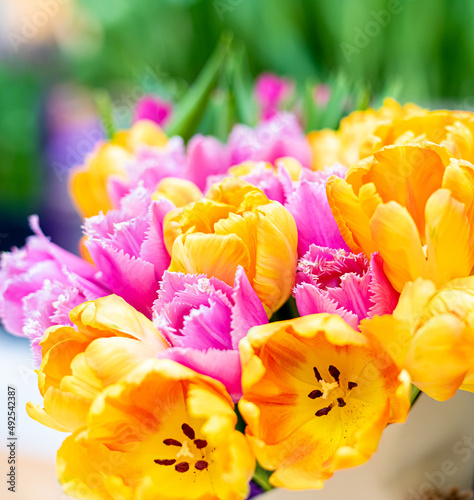 Colorfull bright tulips of yellow and pink colors. Garden center and florist salon
