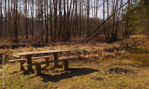 Fototapeta Naklejka Na Ścianę i Meble -  Ławka w lesie. Miejsce do odpoczynku.
