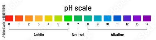 Ph scale chart. Diagram of acid and alkaline solutions on white background. Ph indicator acid-base balance, chemical analysis, vector illustration