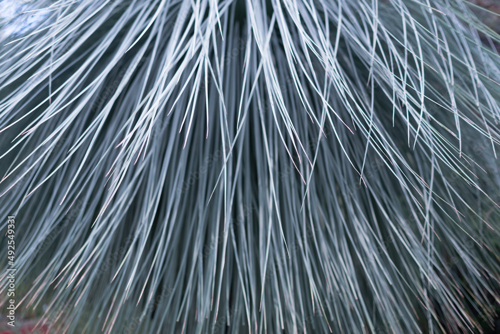 Obraz premium Abstract blue background from vertical inclined lines