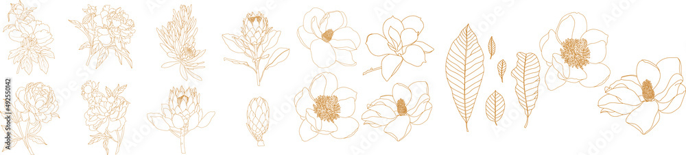 Set of graphical golden hand drawn summer, spring flowers. Vector ...